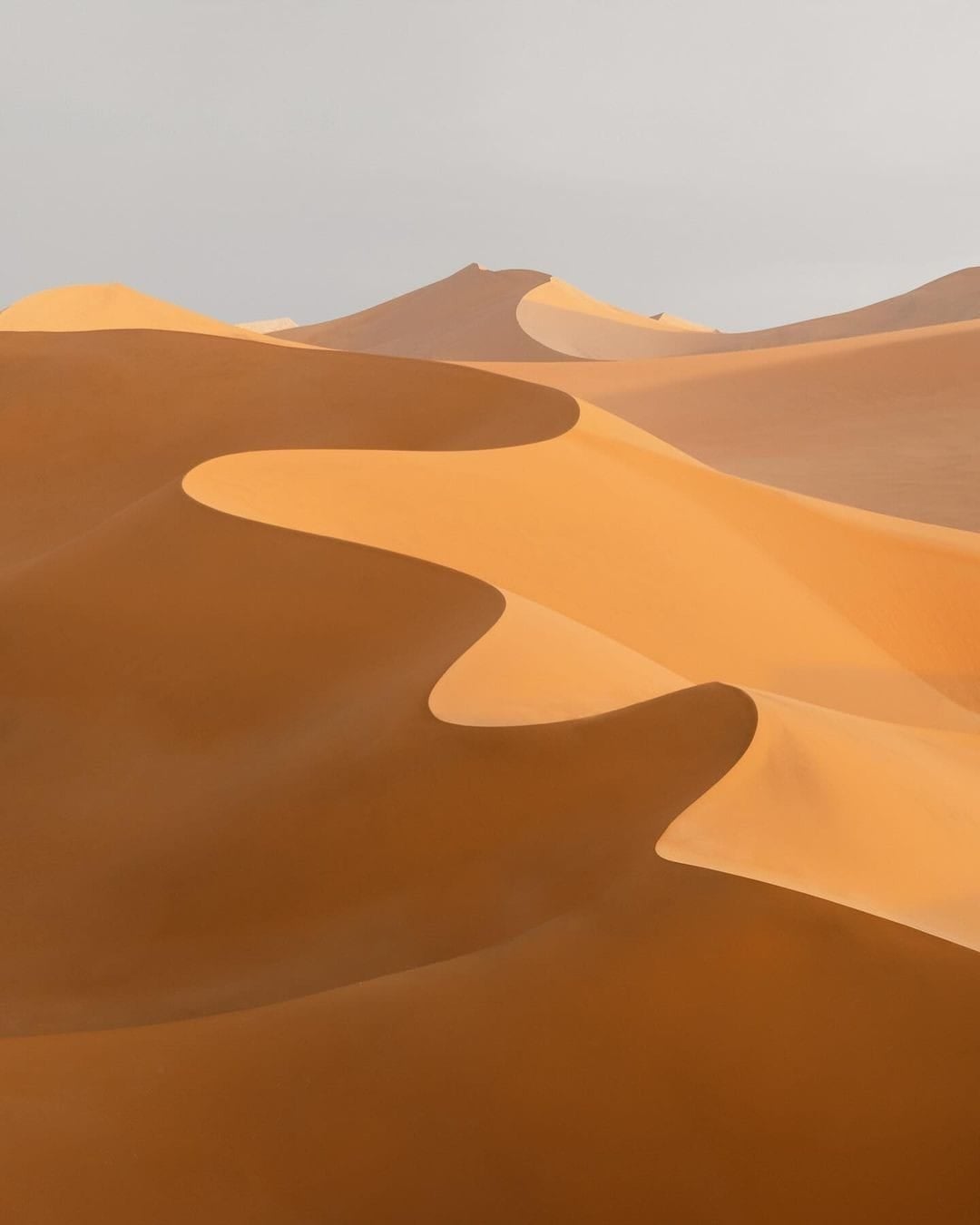 FOMO and Drop Strategies: Four Schools of Scarcity